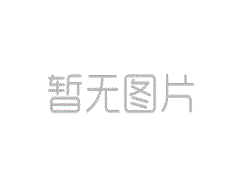 X019护膝